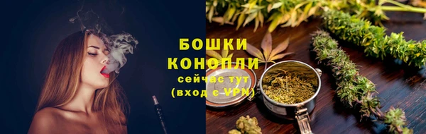шишки Шадринск