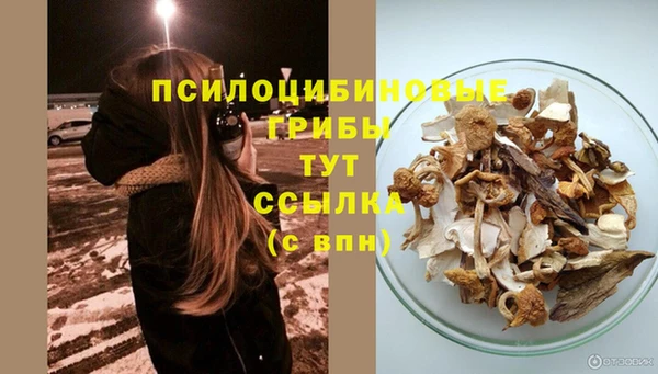 амфетамин Козельск