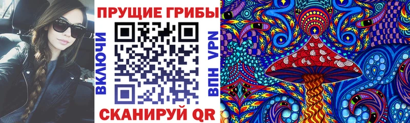 Галлюциногенные грибы Psilocybe  Купить  Орлов 