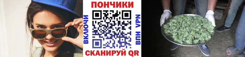 Бошки марихуана LSD WEED  Купить закладки  Орлов 